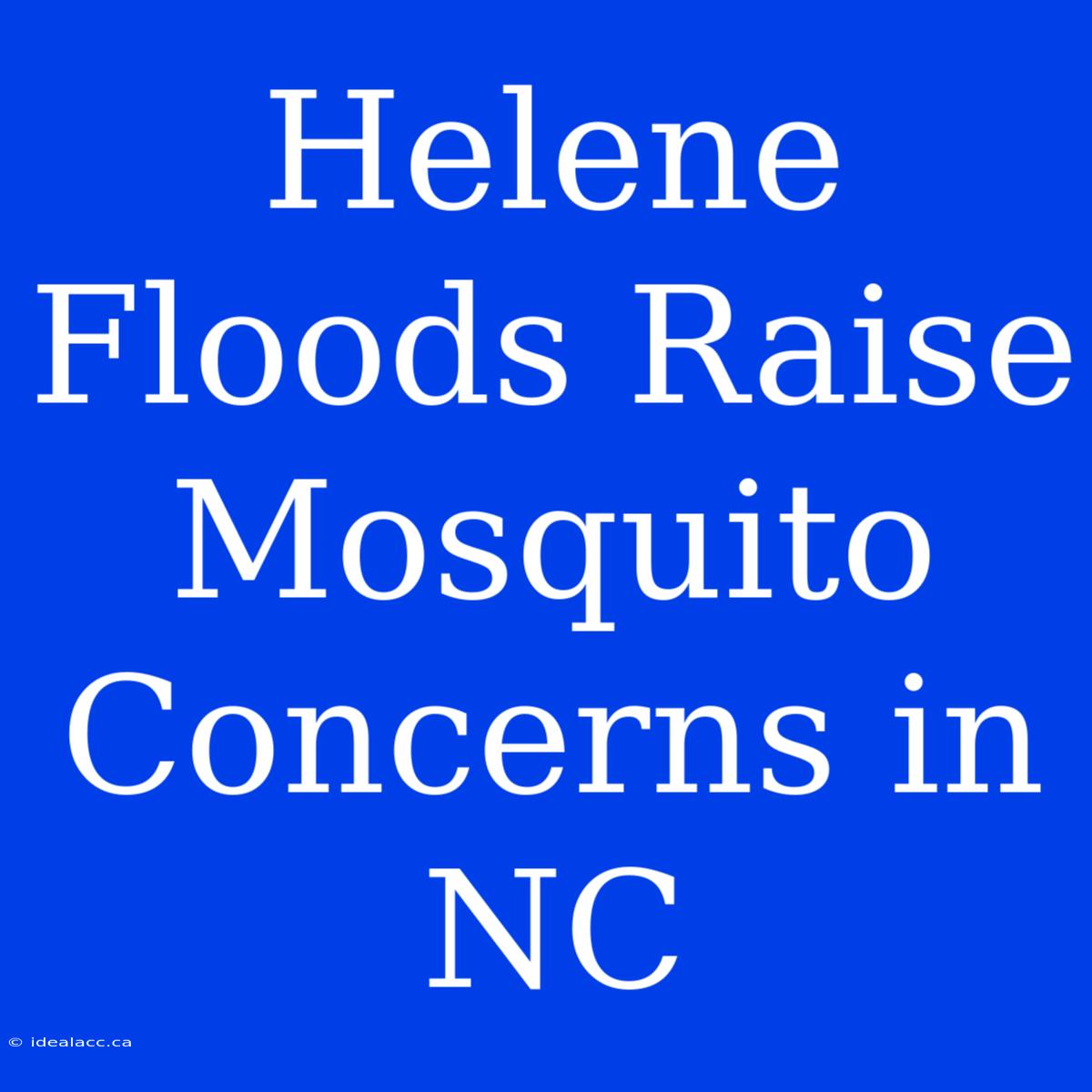 Helene Floods Raise Mosquito Concerns In NC