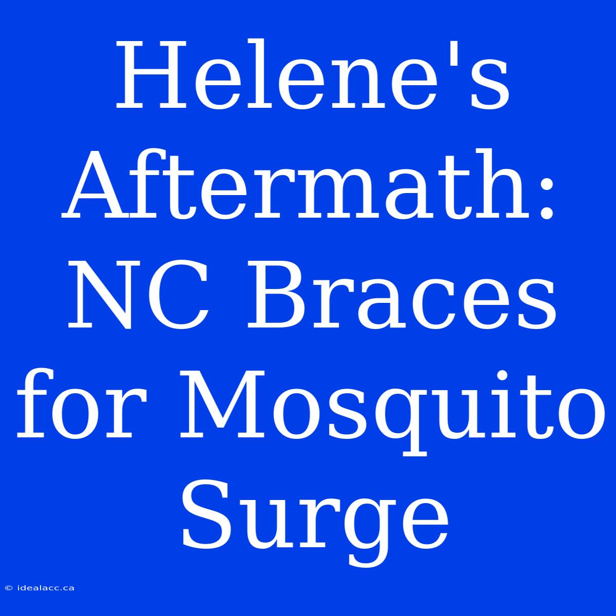 Helene's Aftermath: NC Braces For Mosquito Surge