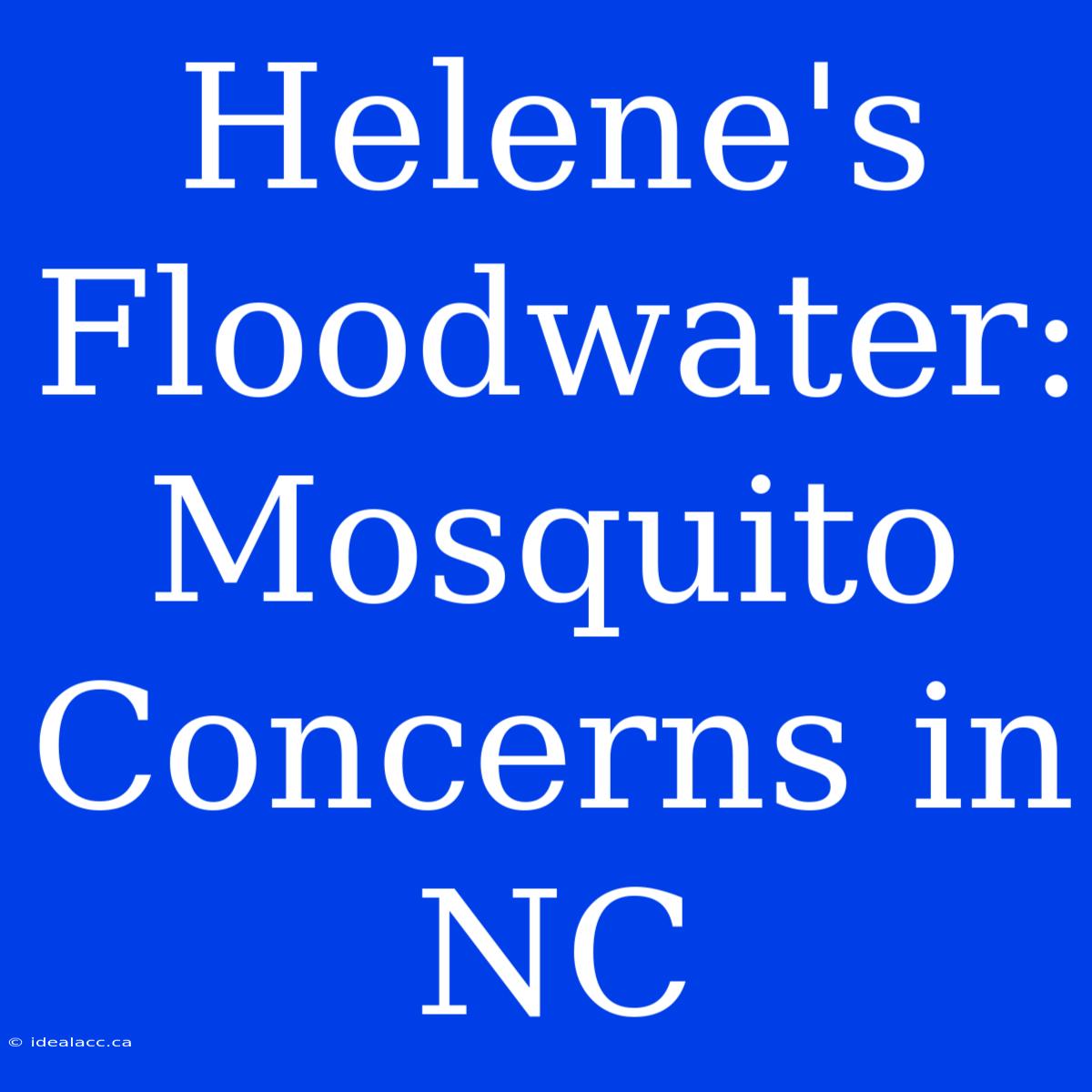 Helene's Floodwater: Mosquito Concerns In NC