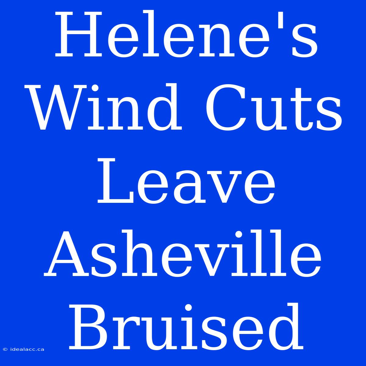 Helene's Wind Cuts Leave Asheville Bruised