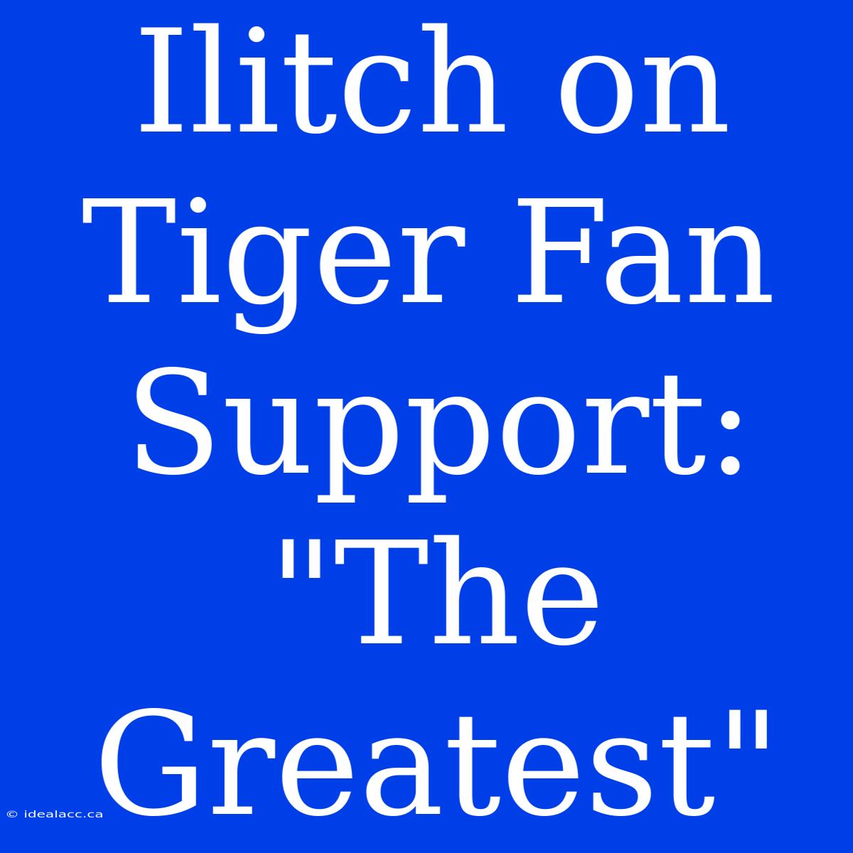 Ilitch On Tiger Fan Support: 