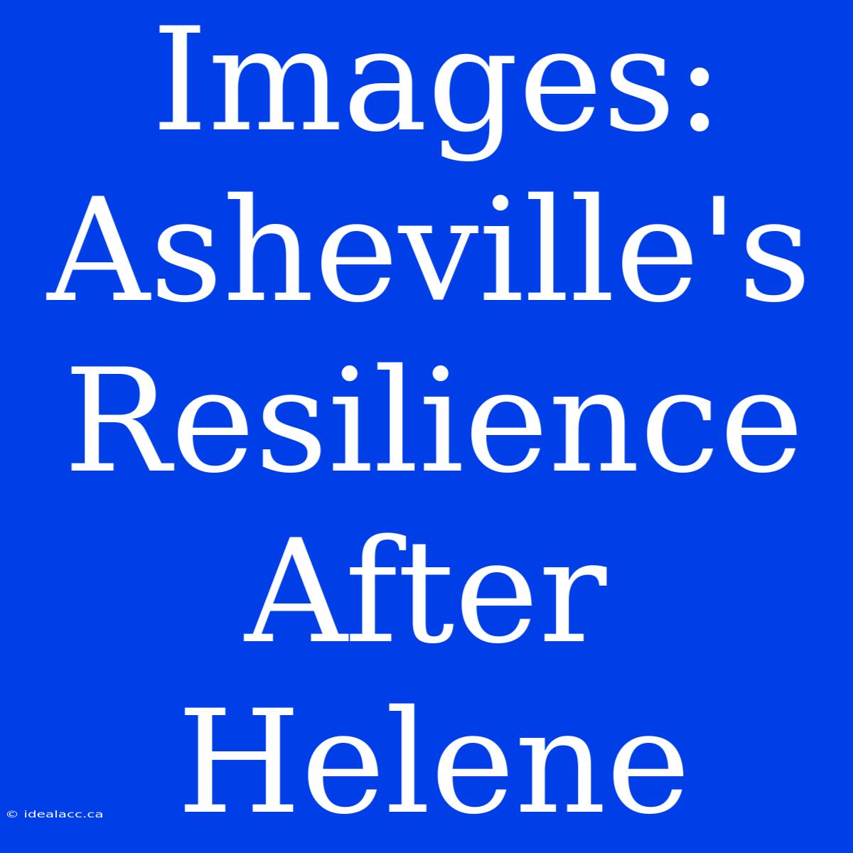 Images: Asheville's Resilience After Helene