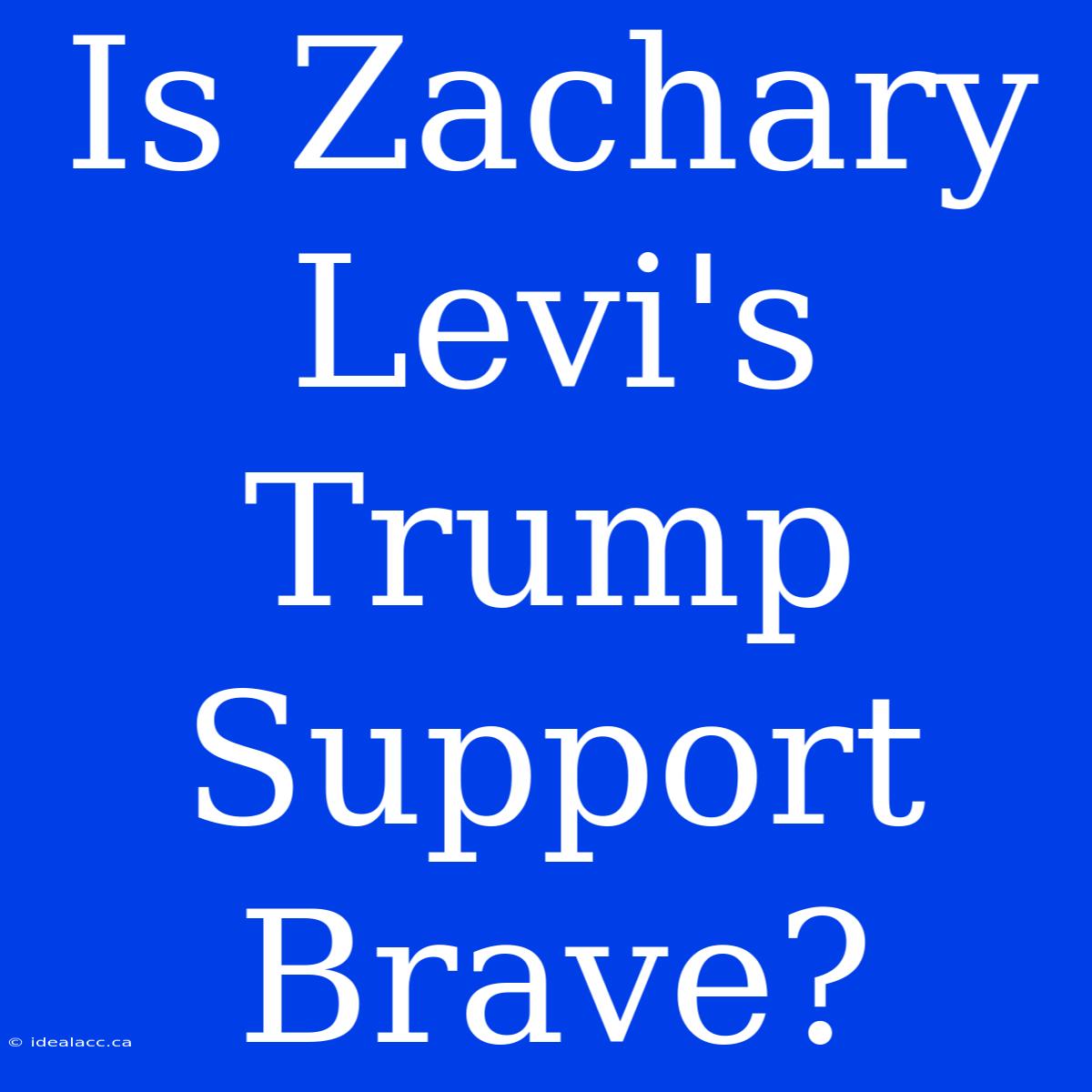 Is Zachary Levi's Trump Support Brave?