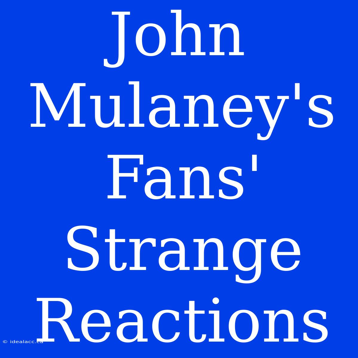 John Mulaney's Fans' Strange Reactions