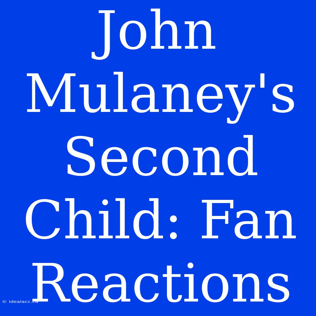 John Mulaney's Second Child: Fan Reactions