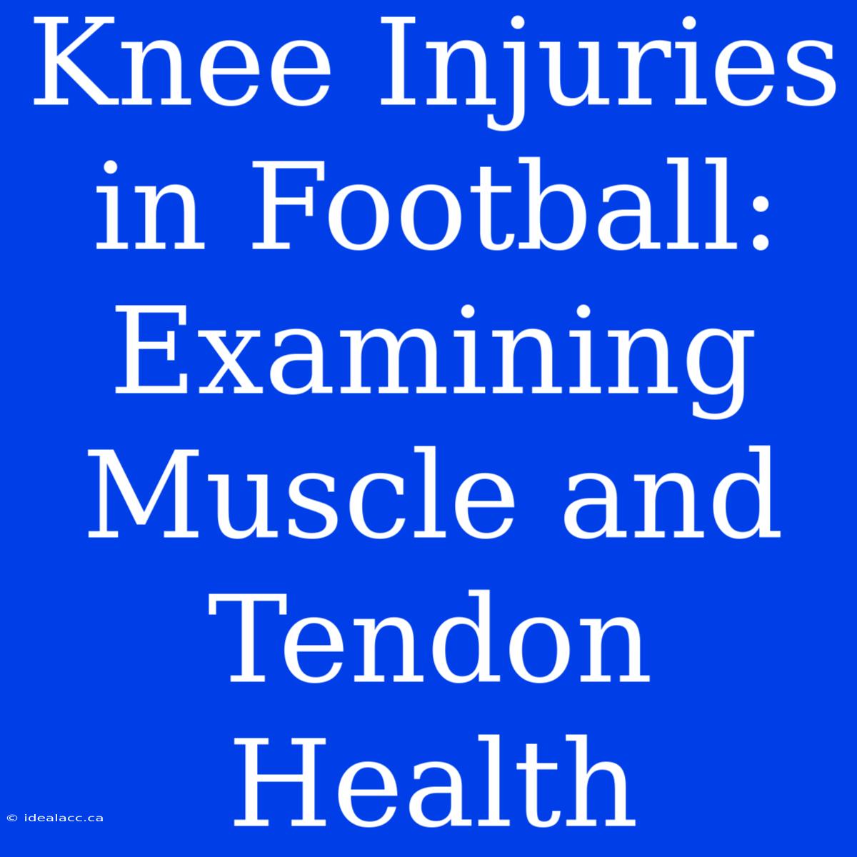 Knee Injuries In Football: Examining Muscle And Tendon Health