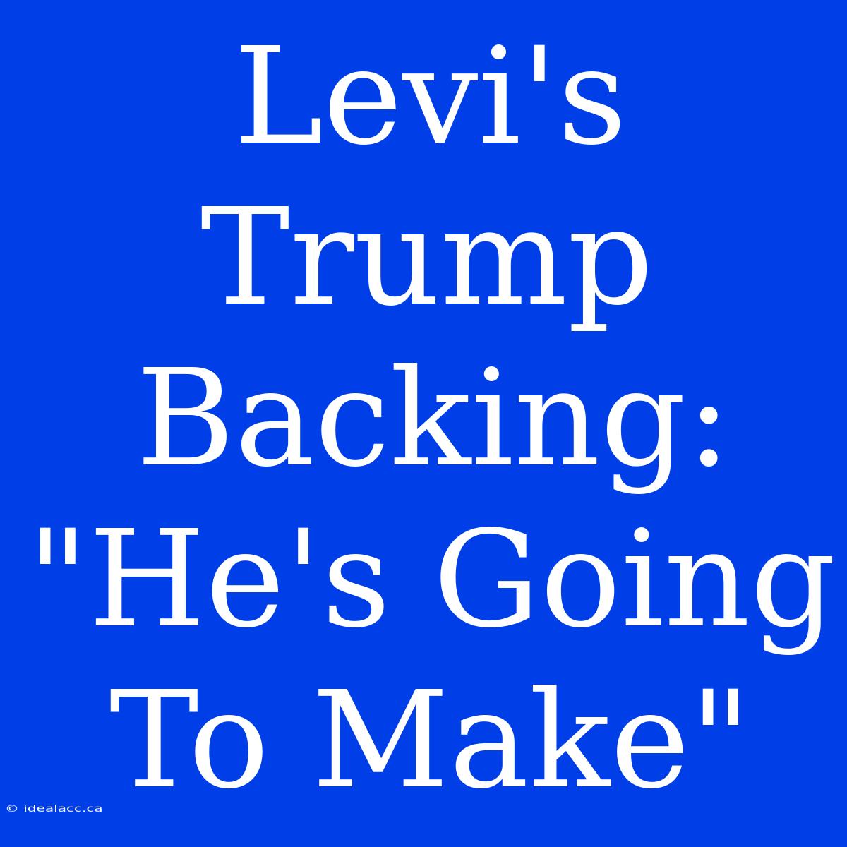 Levi's Trump Backing: 