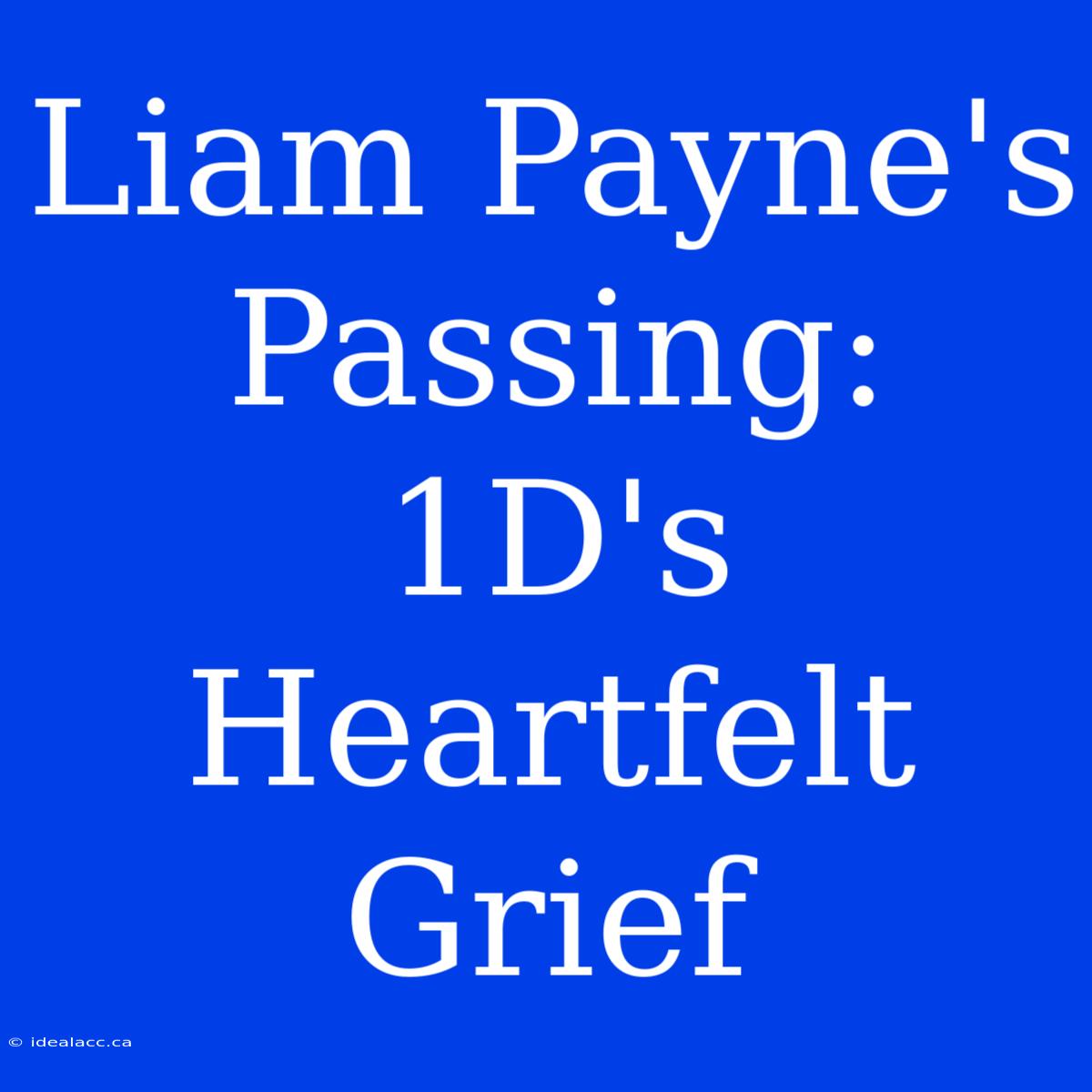 Liam Payne's Passing: 1D's Heartfelt Grief