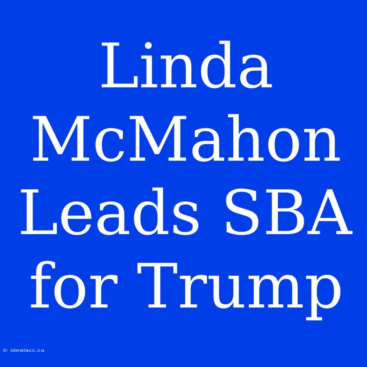 Linda McMahon Leads SBA For Trump