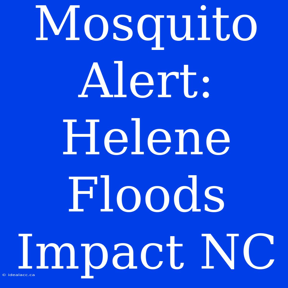 Mosquito Alert: Helene Floods Impact NC