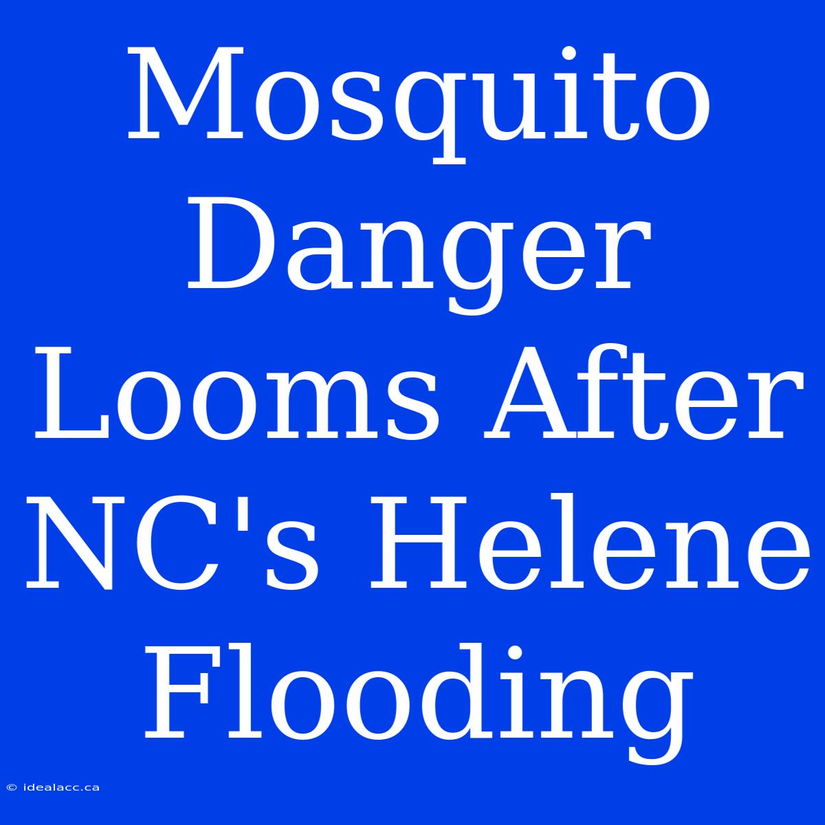 Mosquito Danger Looms After NC's Helene Flooding