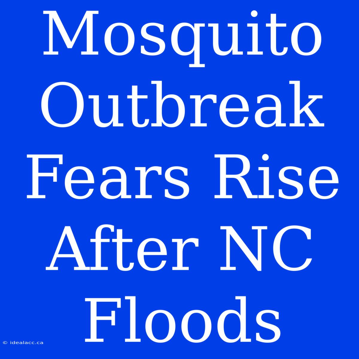 Mosquito Outbreak Fears Rise After NC Floods