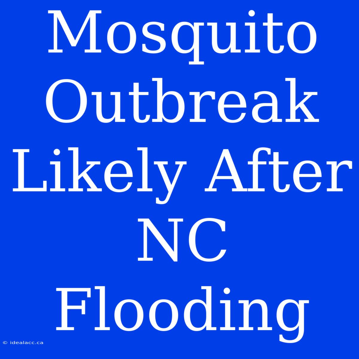 Mosquito Outbreak Likely After NC Flooding