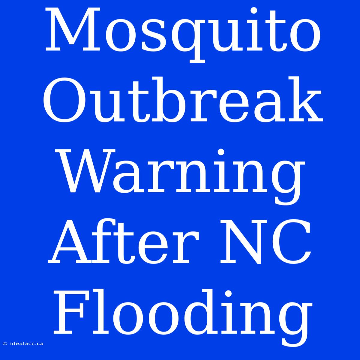 Mosquito Outbreak Warning After NC Flooding