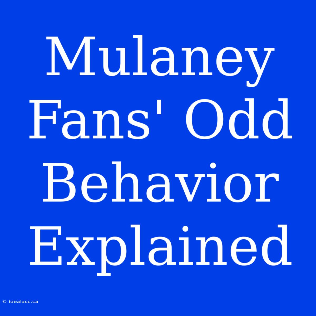 Mulaney Fans' Odd Behavior Explained 