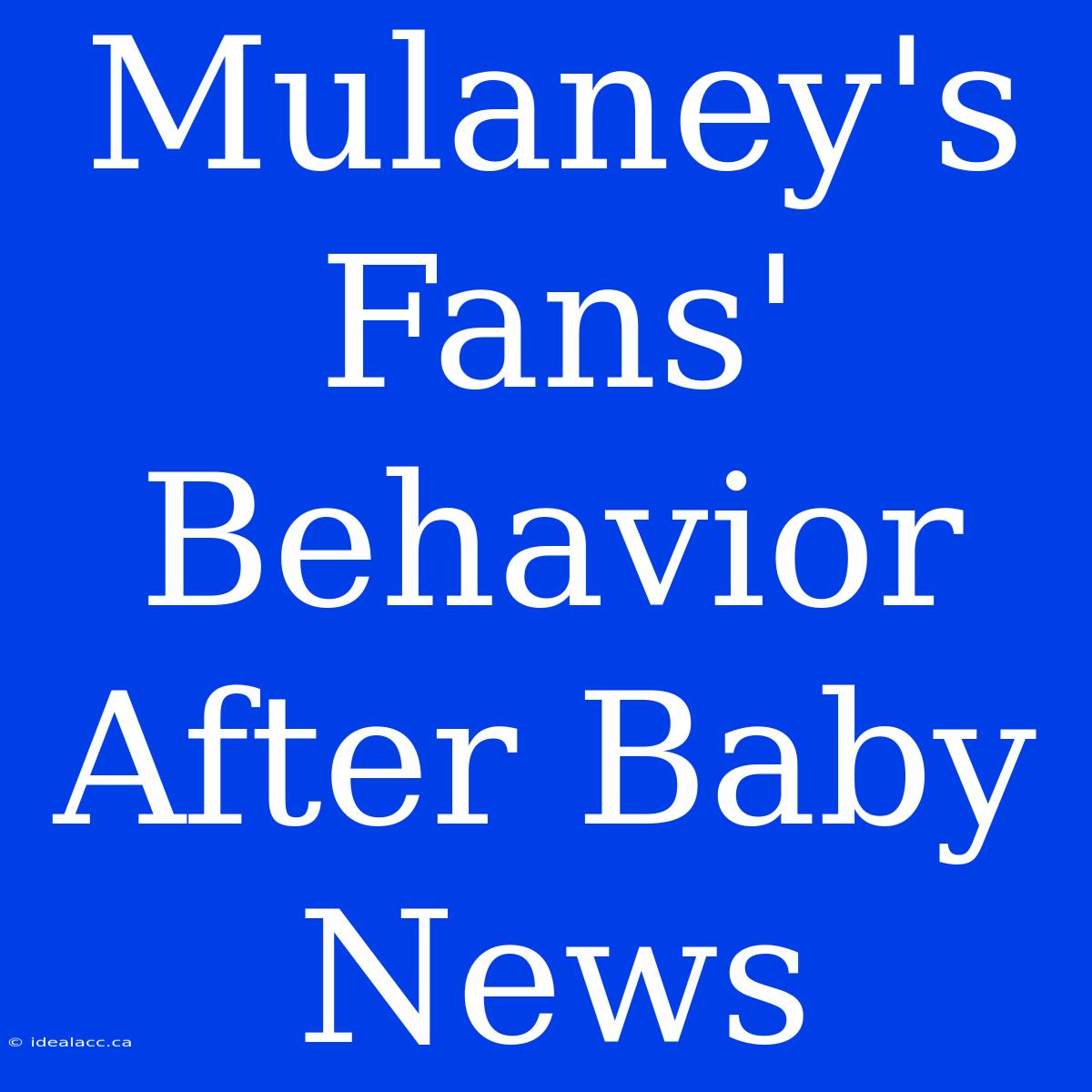 Mulaney's Fans' Behavior After Baby News