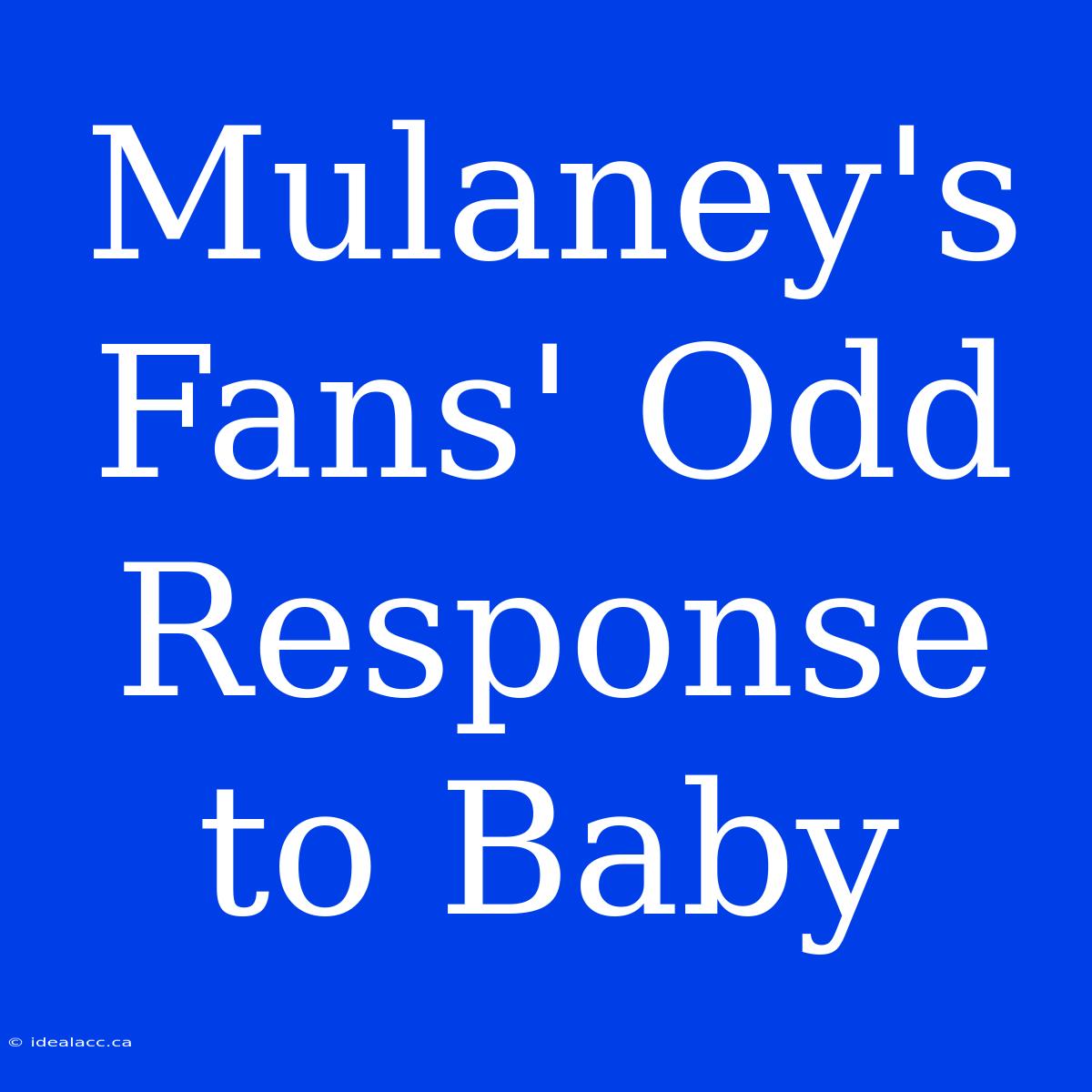 Mulaney's Fans' Odd Response To Baby