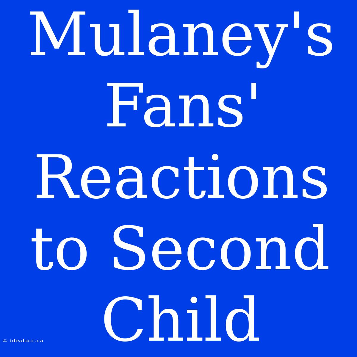 Mulaney's Fans' Reactions To Second Child