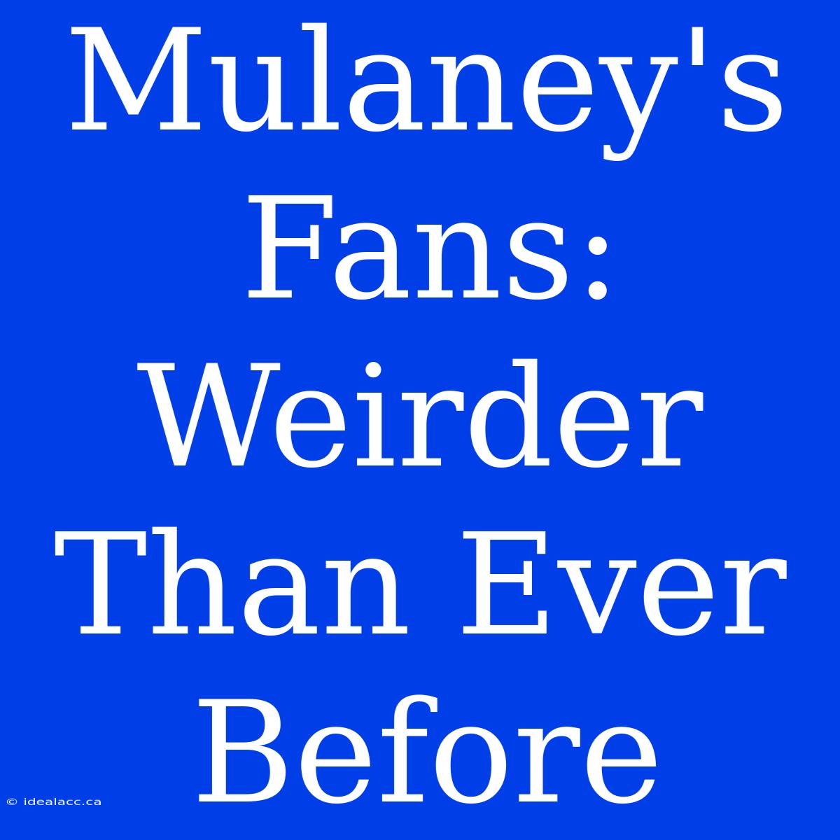 Mulaney's Fans: Weirder Than Ever Before