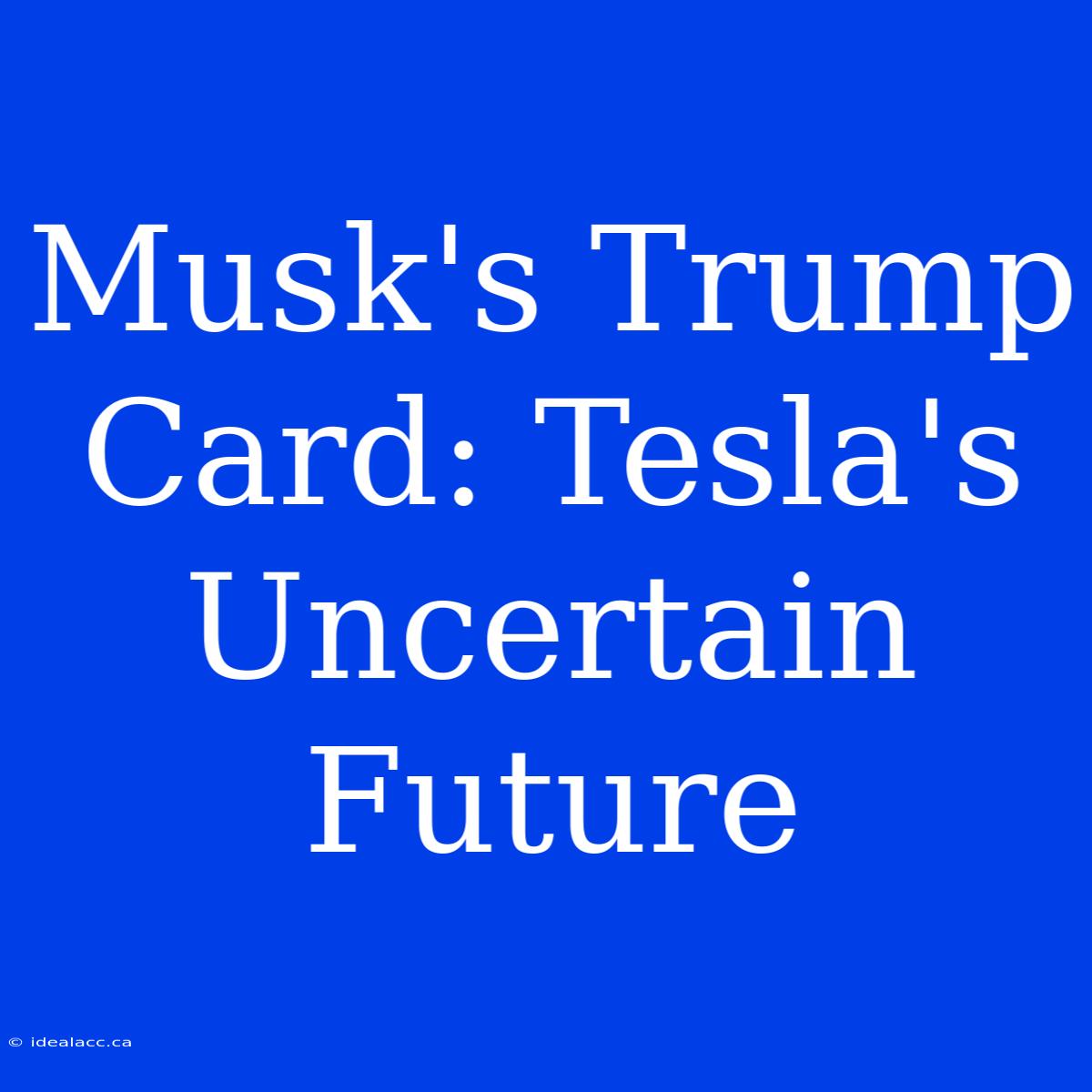 Musk's Trump Card: Tesla's Uncertain Future