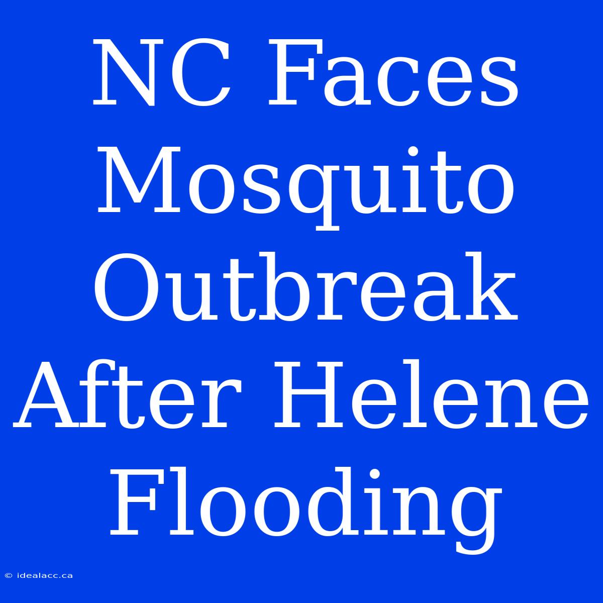 NC Faces Mosquito Outbreak After Helene Flooding