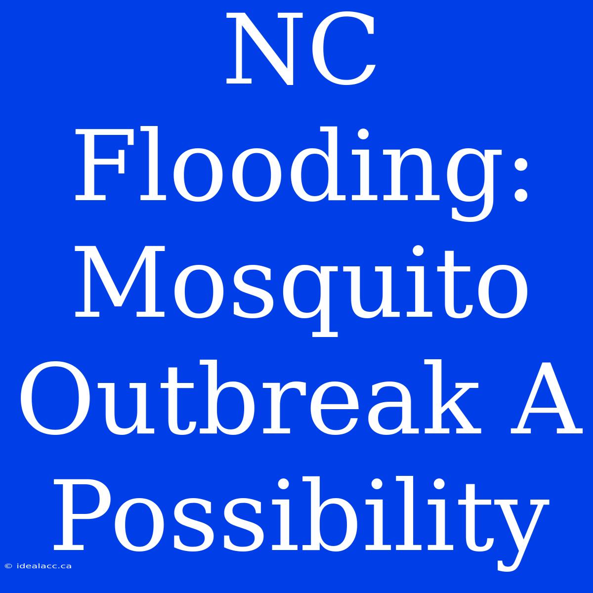 NC Flooding: Mosquito Outbreak A Possibility