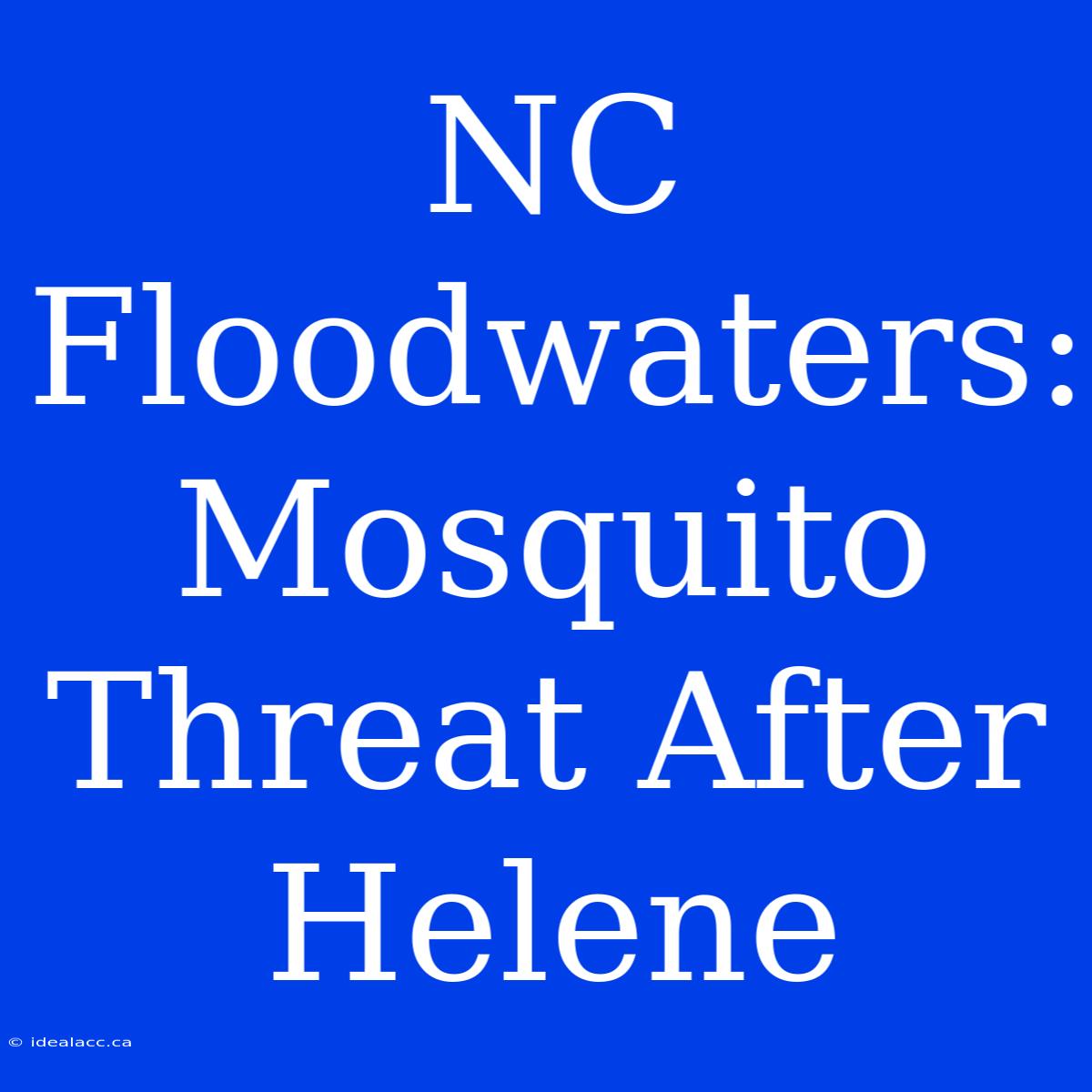 NC Floodwaters: Mosquito Threat After Helene 