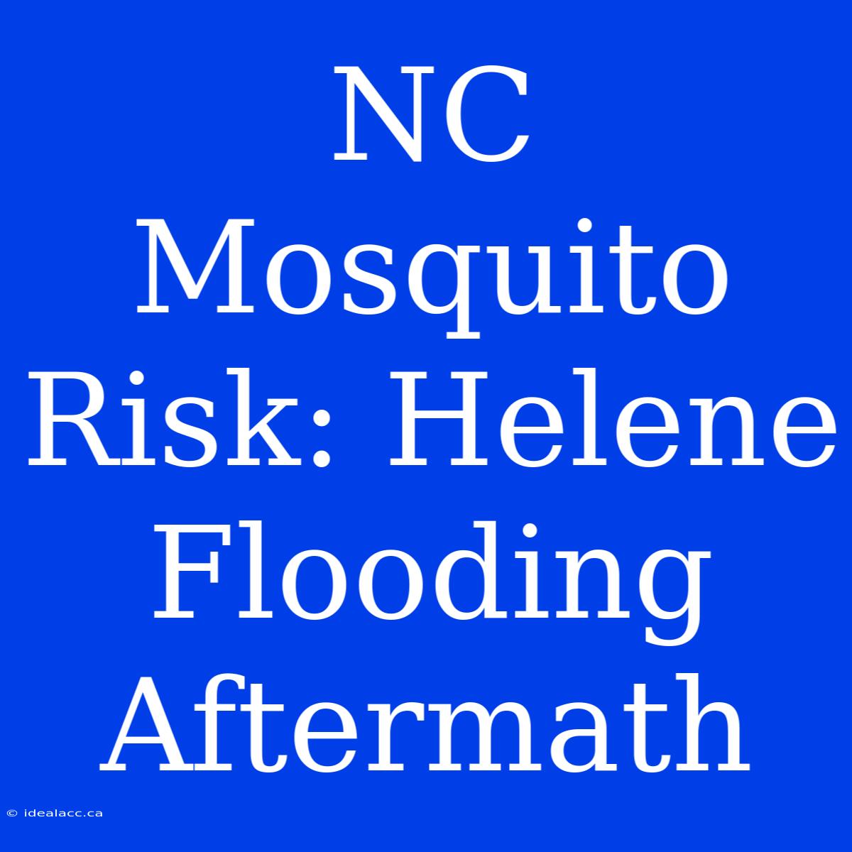 NC Mosquito Risk: Helene Flooding Aftermath