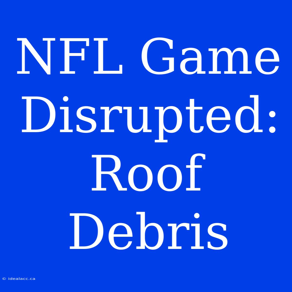 NFL Game Disrupted: Roof Debris