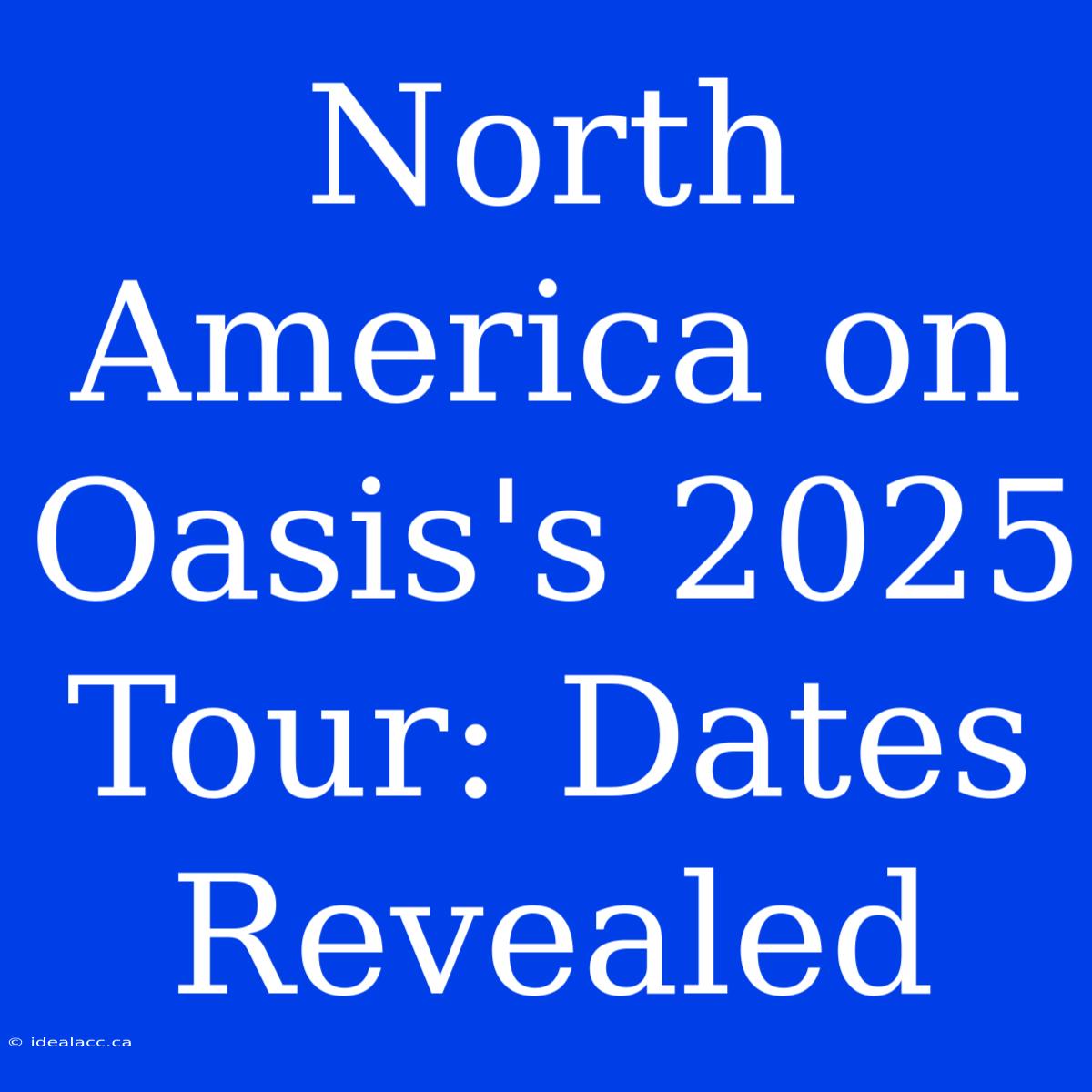 North America On Oasis's 2025 Tour: Dates Revealed