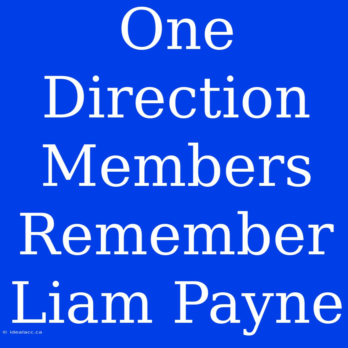 One Direction Members Remember Liam Payne