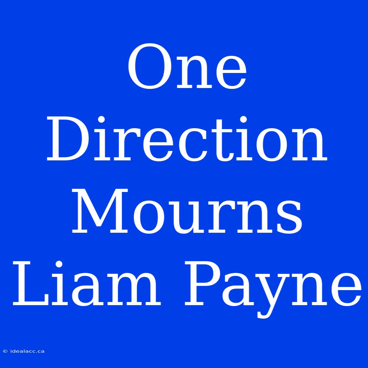 One Direction Mourns Liam Payne