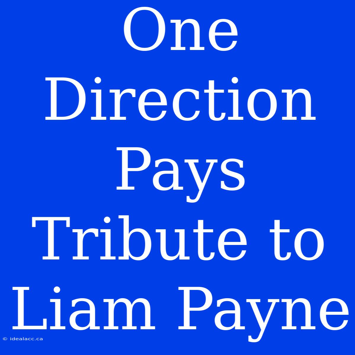 One Direction Pays Tribute To Liam Payne