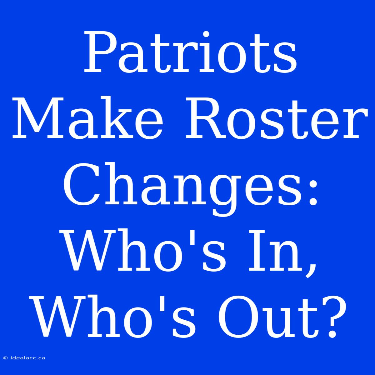 Patriots Make Roster Changes: Who's In, Who's Out?