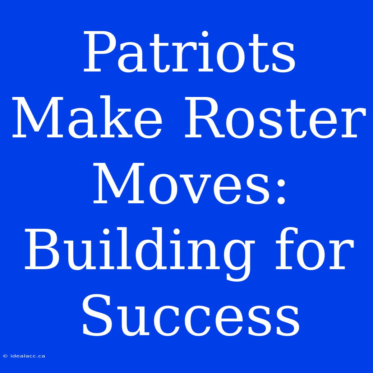 Patriots Make Roster Moves:  Building For Success 