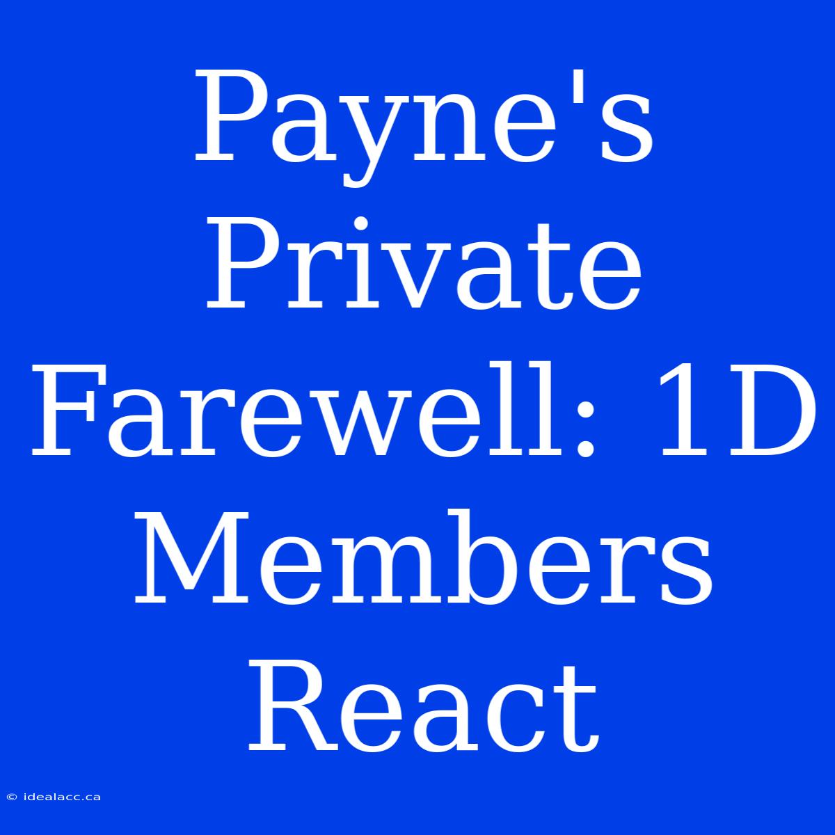 Payne's Private Farewell: 1D Members React