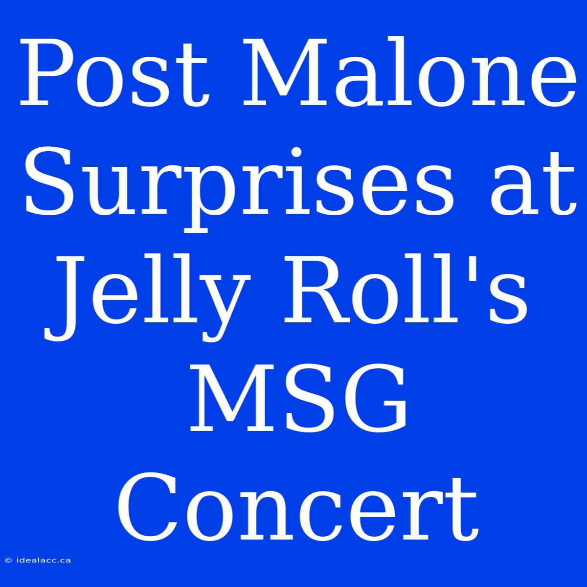 Post Malone Surprises At Jelly Roll's MSG Concert