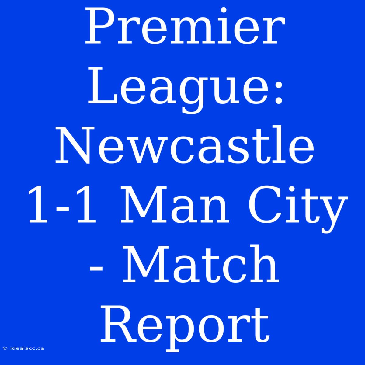 Premier League: Newcastle 1-1 Man City - Match Report