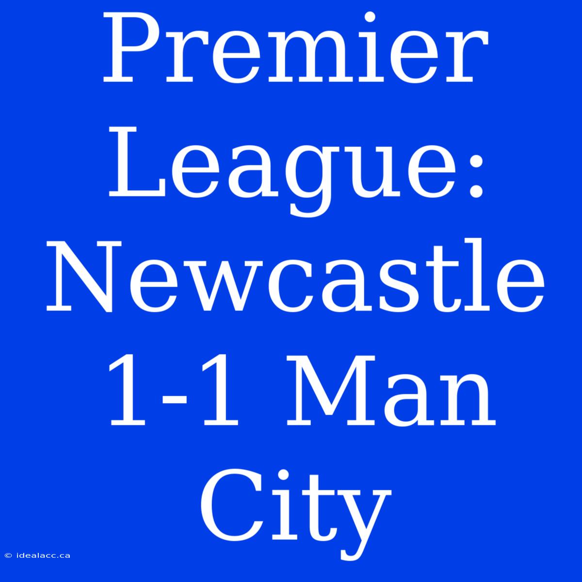 Premier League: Newcastle 1-1 Man City 