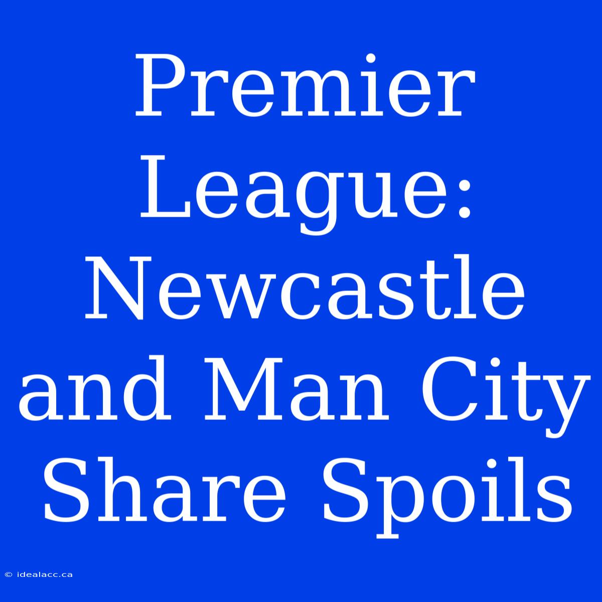 Premier League: Newcastle And Man City Share Spoils 