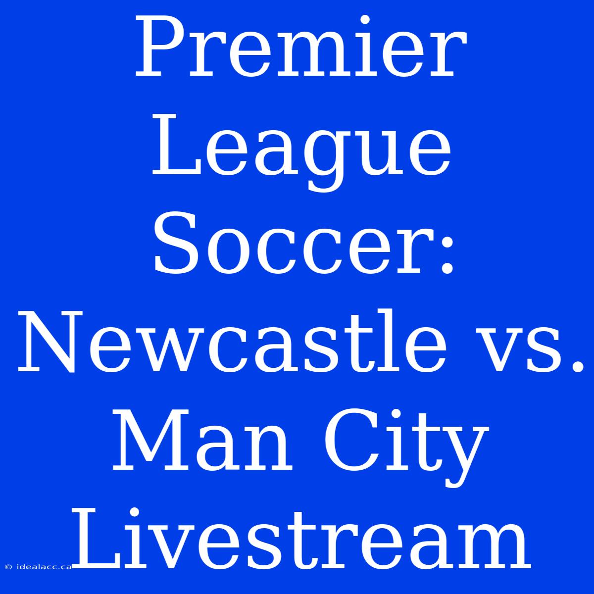 Premier League Soccer: Newcastle Vs. Man City Livestream