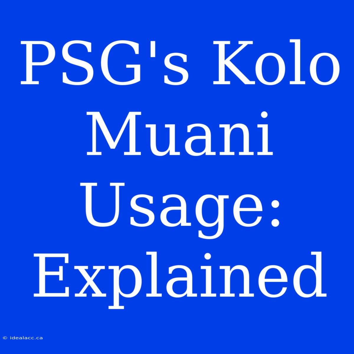 PSG's Kolo Muani Usage: Explained