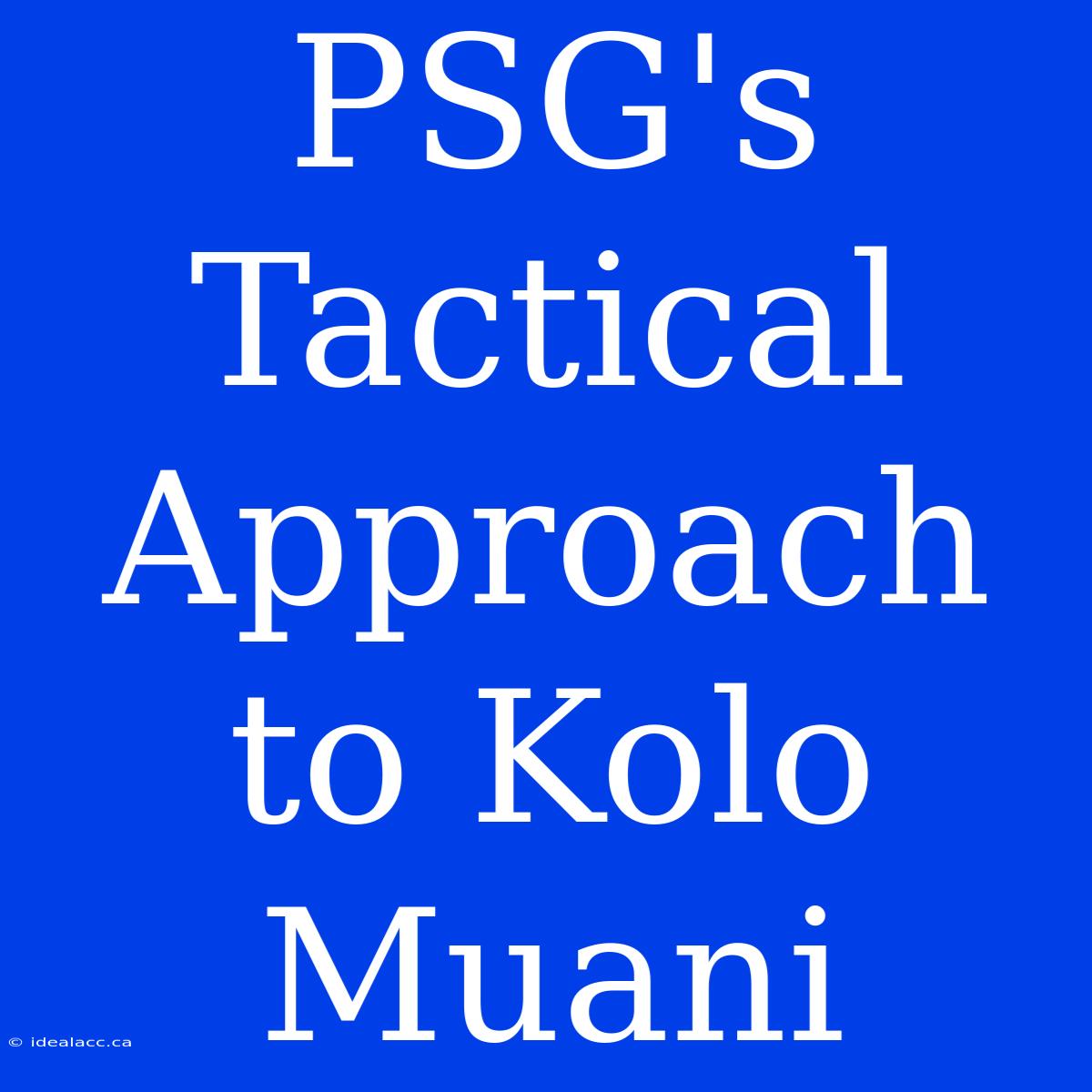 PSG's Tactical Approach To Kolo Muani