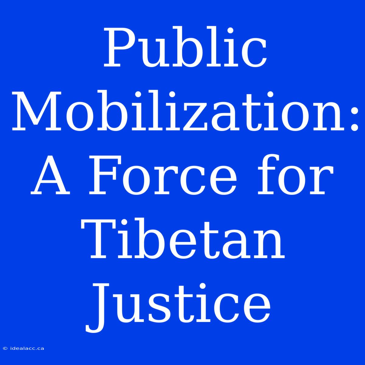 Public Mobilization: A Force For Tibetan Justice