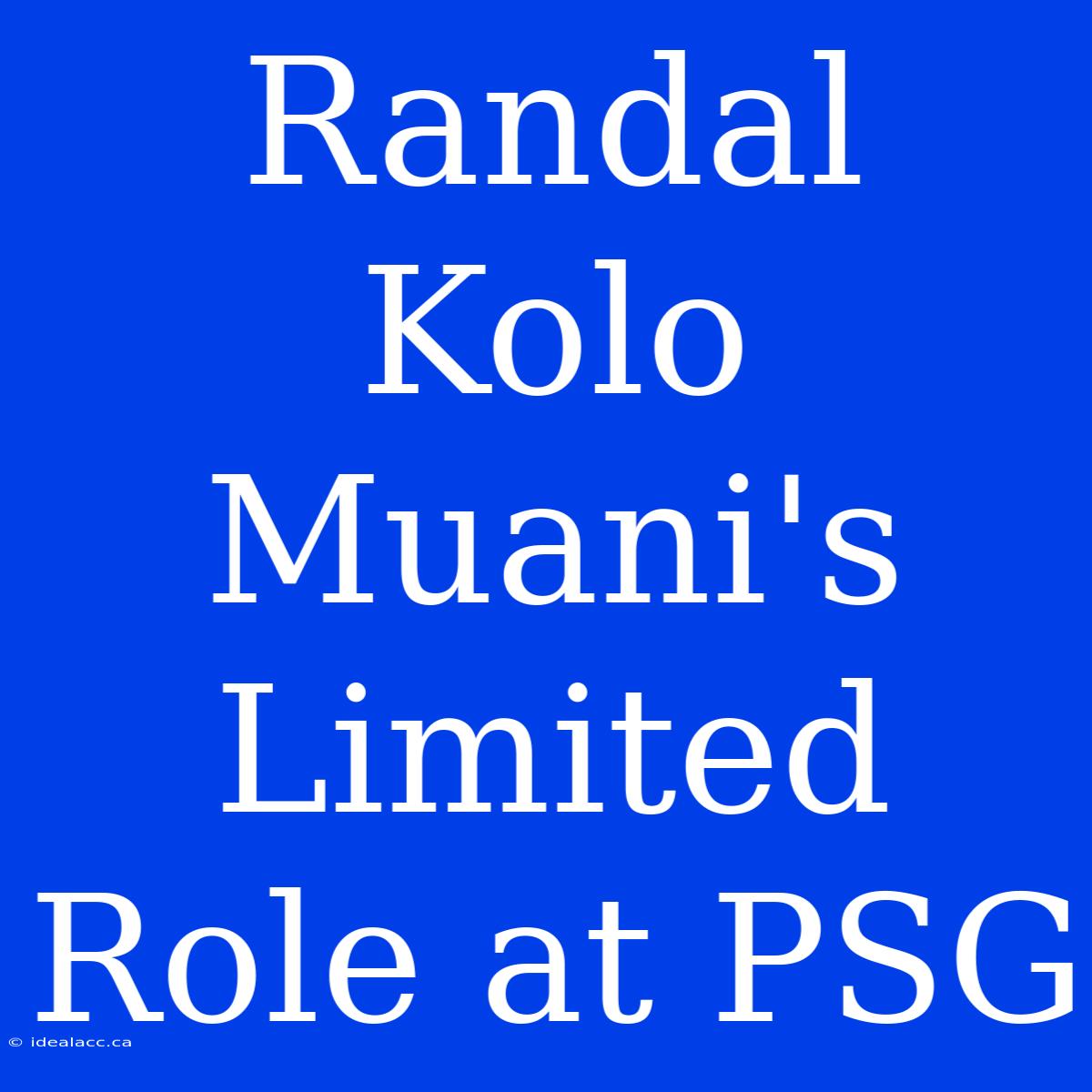 Randal Kolo Muani's Limited Role At PSG