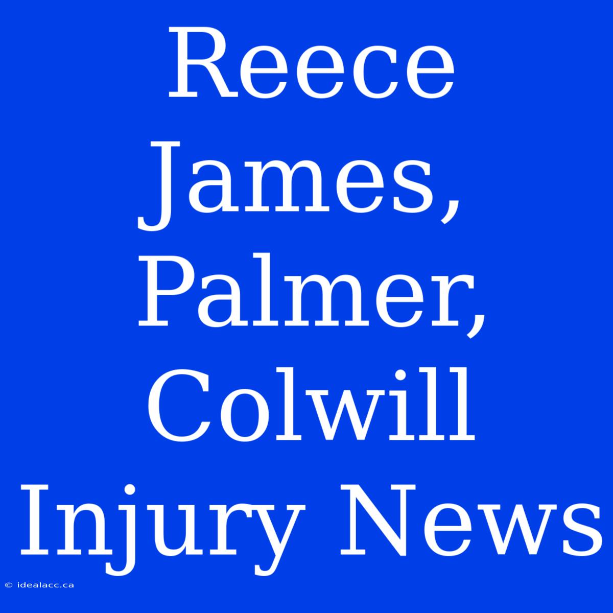 Reece James, Palmer, Colwill Injury News