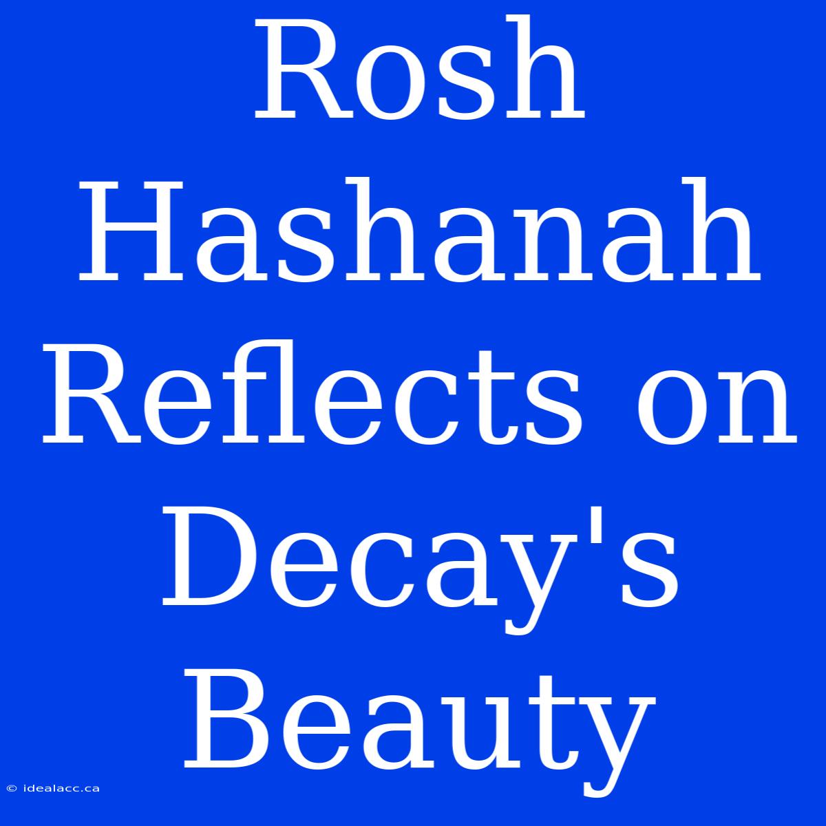 Rosh Hashanah Reflects On Decay's Beauty