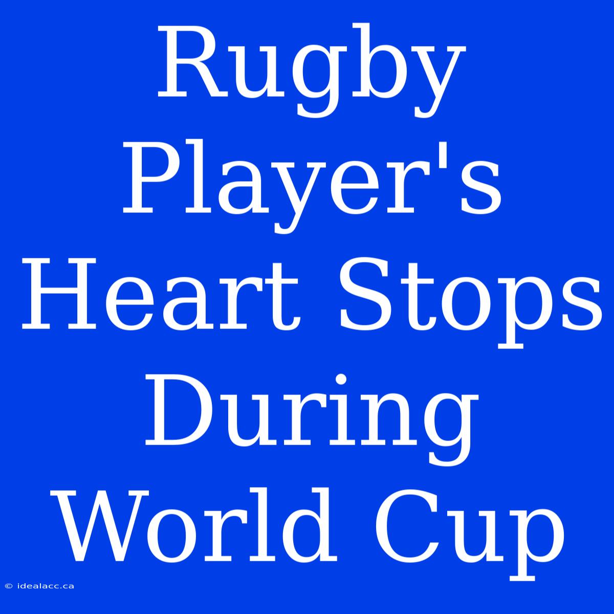 Rugby Player's Heart Stops During World Cup