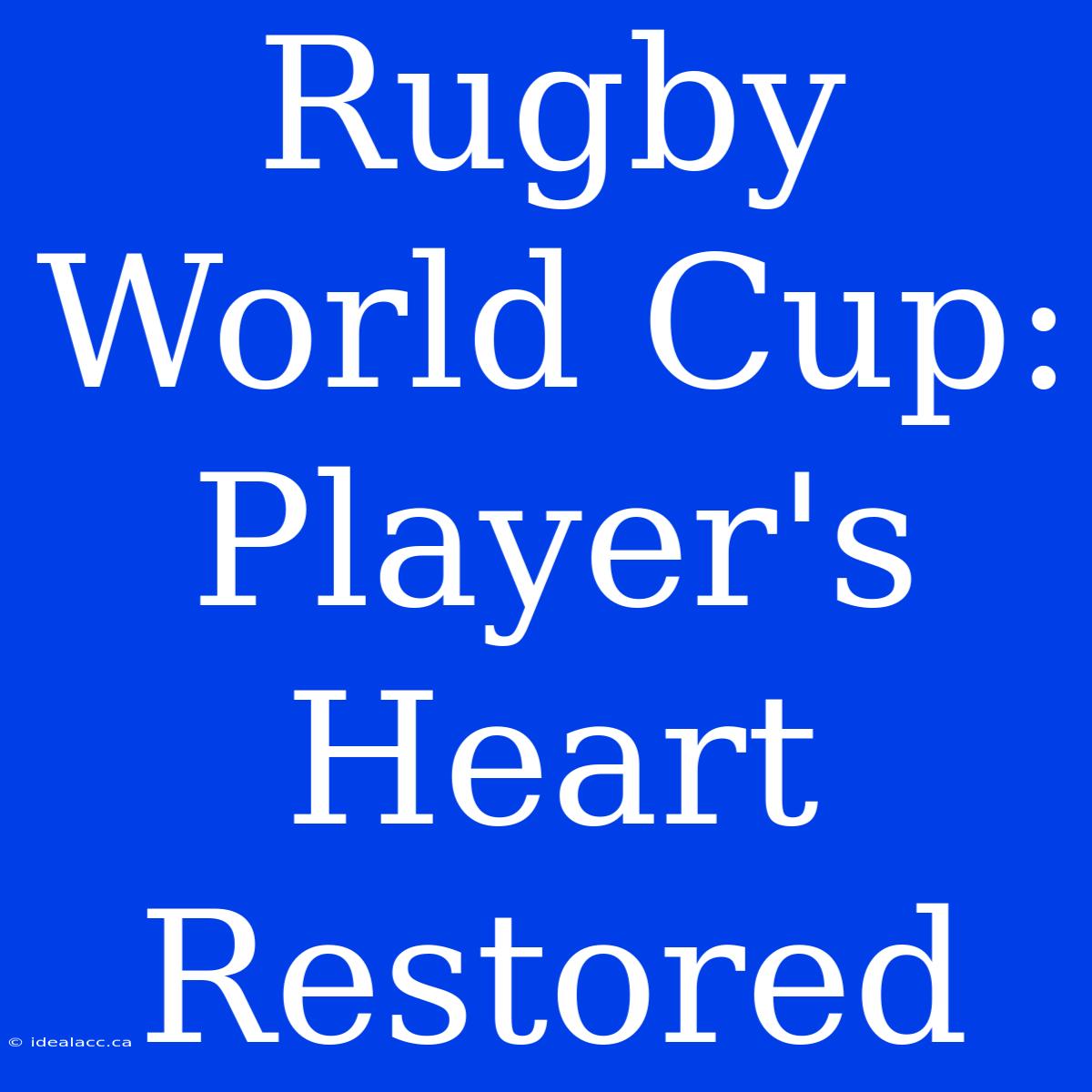 Rugby World Cup: Player's Heart Restored