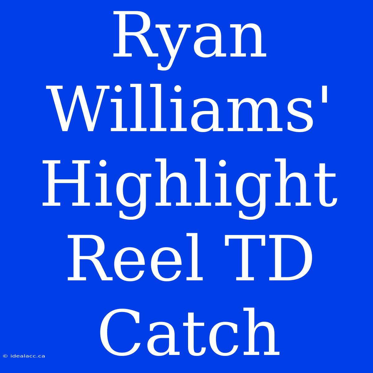 Ryan Williams' Highlight Reel TD Catch